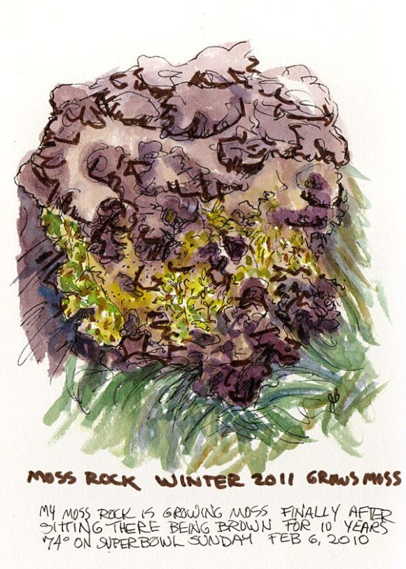 Moss Rock Grows Moss, ink, Pentel Brush Pen & watercolor