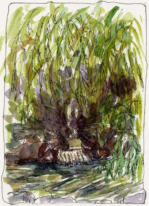 Weeping Willow and Pond, Ink & watercolor