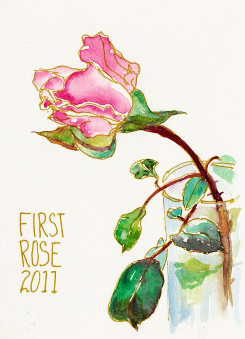 First Cut Rose, gold gel pen and watercolor