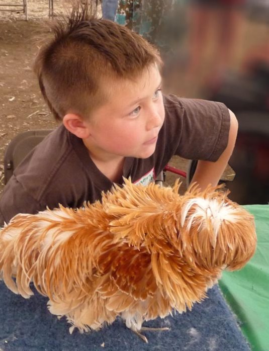 Boy with his chicken: matching hairstyles?