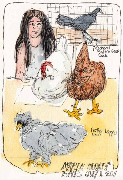 Poultry Tent Medly, ink & watercolor 7x5