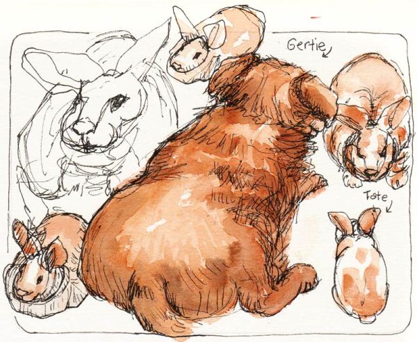 Gertie and the Bunny