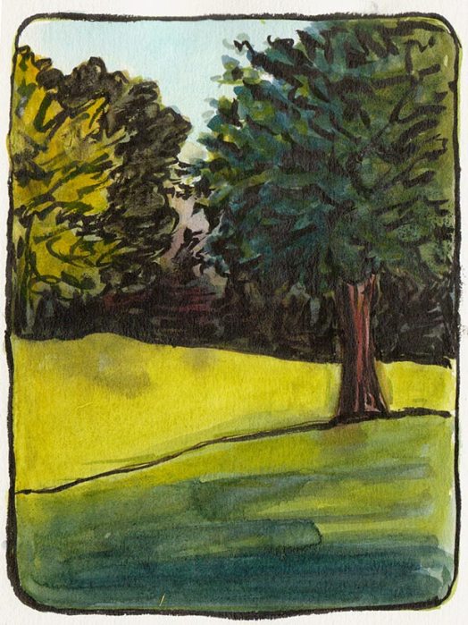 Sunset View Cemetery Trees, ink & watercolor 7x5"