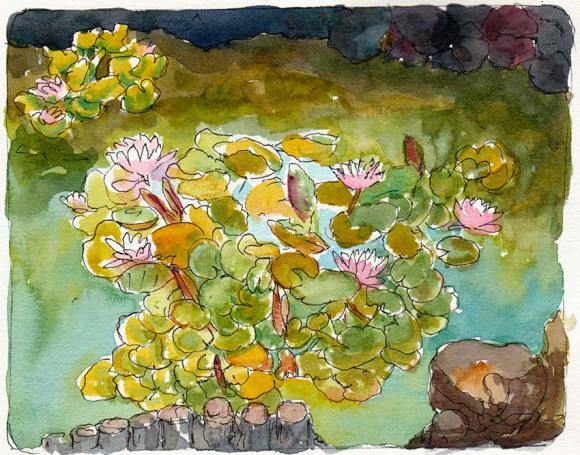 Sunset View Cemetery Lily Pond #2, ink & watercolor 5x7"