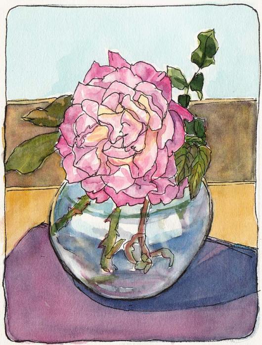 Second to Last Rose Test, ink & watercolor