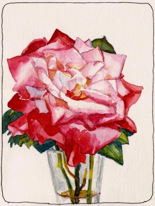 Will You Accept This Rose? Yes, Finally. Watercolor, 7x5"