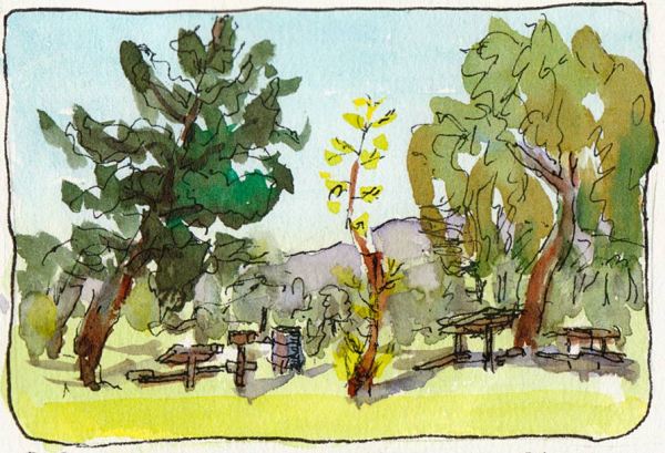 The little tree, from my car, sketch #1, ink & watercolor