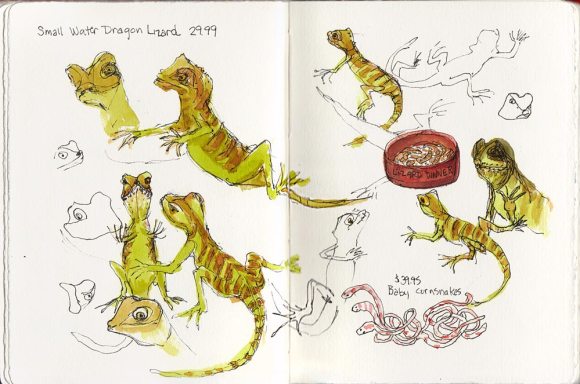 Small Water Dragon Lizard, ink & watercolor, 10"x7