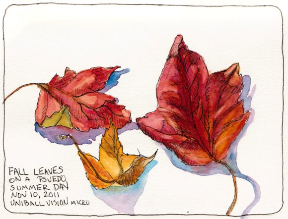 Autumn leaves, ink & watercolor, 7x5"