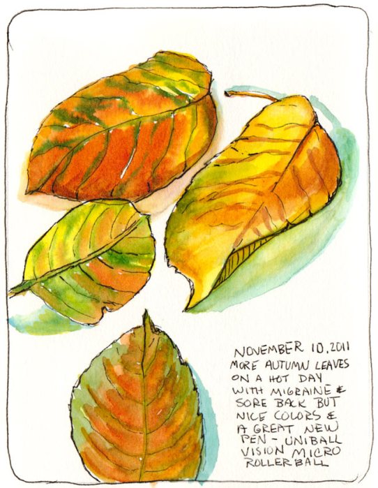 Autumn leaves just turning, ink & watercolor, 7x5"