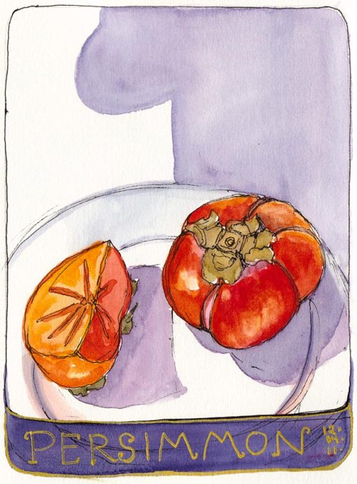 Number One Persimmon, ink & watercolor, 7x5"