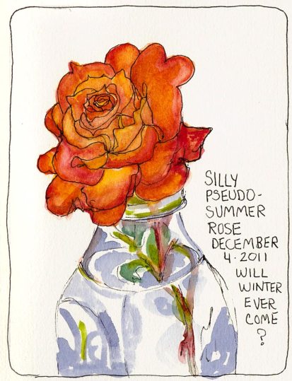 Silly Pseudo Summer Rose, ink & watercolor, 7x5"