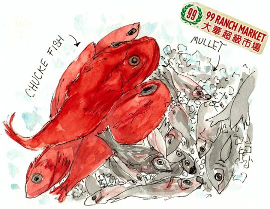 Chuckle Fish and Mullets, ink & watercolor