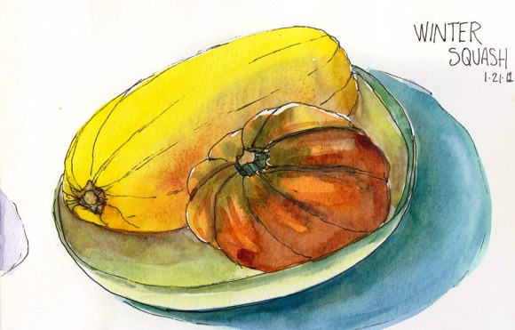 Spaghetti Squash and Acorn Squash, ink & watercolor, 8x5"