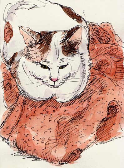 Fiona on Grandma's Blanket, ink & watercolor, 6x4" Strathmore sketchbook