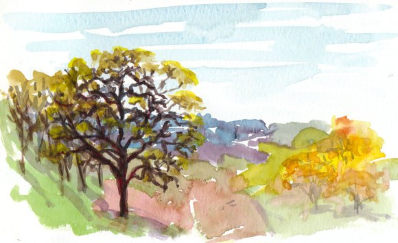 Borges Ranch Shell Ridge Open Space, watercolor, 5x8"