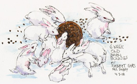 Baby Bunnies Chillin' & Chowin' Down, ink & watercolor, 5x8"