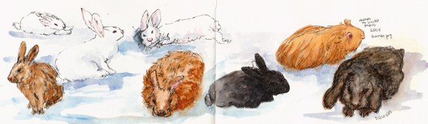 Full spread in sketchbook