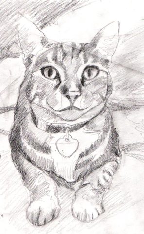 Lucy, pencil sketch on Mylar tracing paper, 12x9"