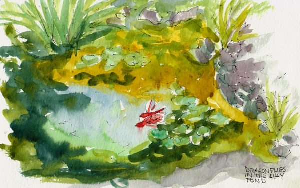 Bancroft Garden Lilly Pond and Dragonflies, ink & watercolor 5x8"