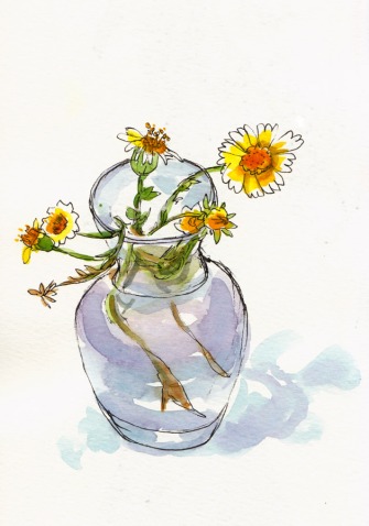 Little Daisy-Like Wildflowers, ink & watercolor, 8x5"