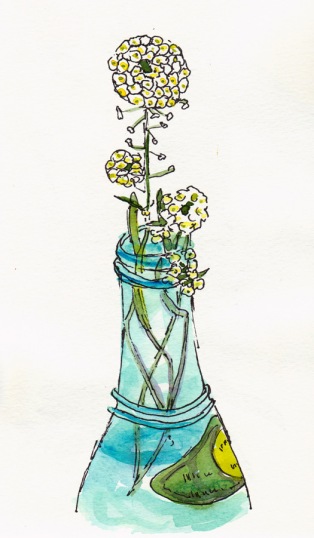 Lacy Wildflowers in Blue Bottle, ink & watercolor, 8x5"
