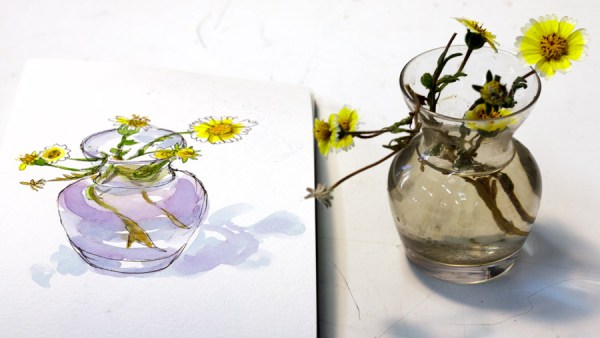 Little Daisy-Like Wildflowers with photo, ink & watercolor, 8x5"