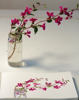 Pink Wildflower sketch with photo