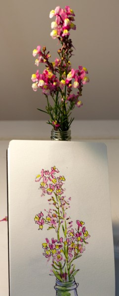 Pink and yellow wildflowers with photo