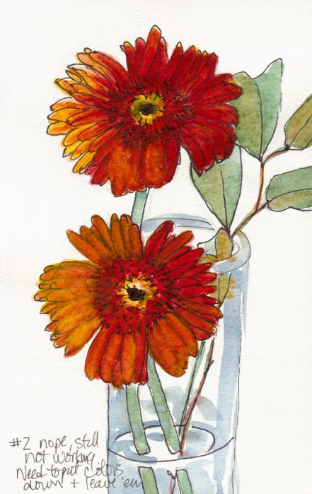 Gerbera Daisy, Attempt #2, ink & watercolor