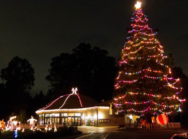 Photo of Tilden Christmas Fantasy