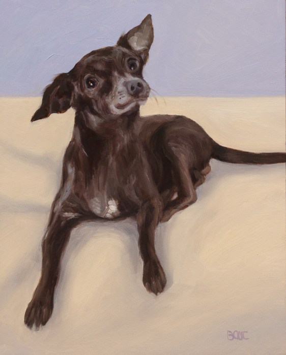 Garbanzo Bean, Dog Portrait in Oil, 10x8"