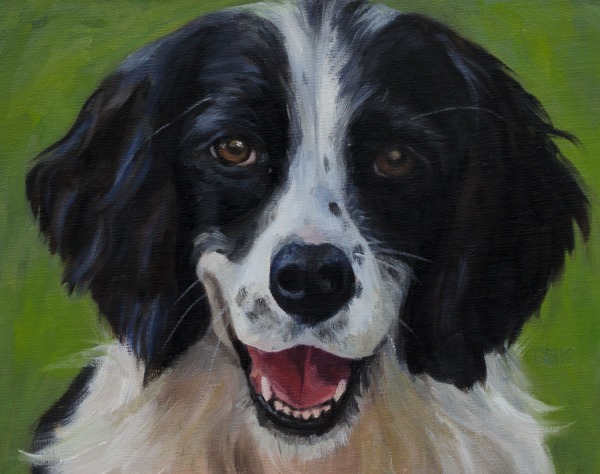 Puck, a dog portrait in oil on linen panel, 8x10" 