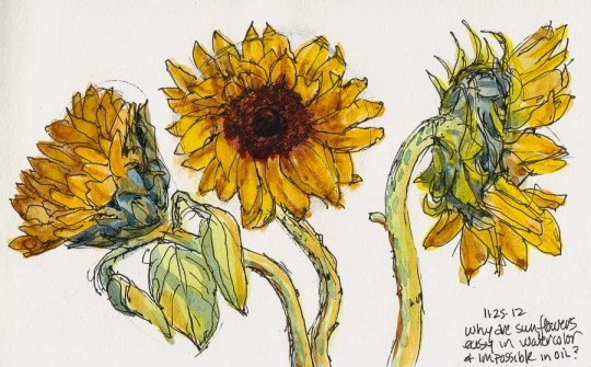 Sunflower #3, ink & watercolor, 5x8"