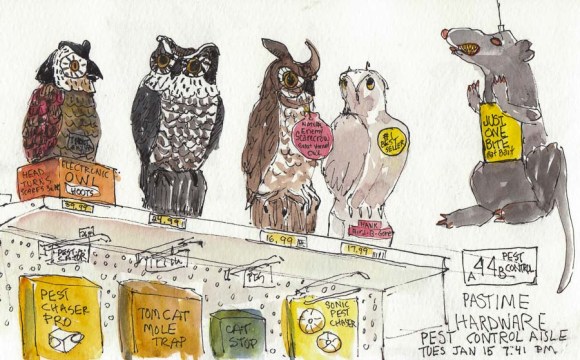 Pest Control at Pastime Hardware, ink & watercolor, 5x8". Sketch of artificial owls and other pest control devices