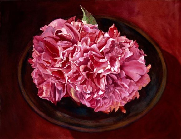 Ruffled Camelia, watercolor on paper, 16x19.5"