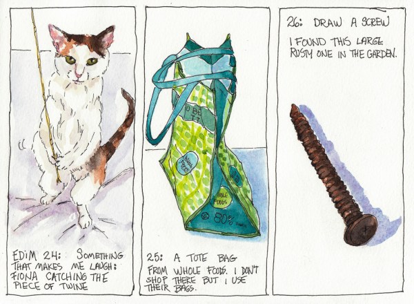 EDiM 24-25-26, Laugh (Fiona), Tote, Screw, ink & watercolor, 8x10"