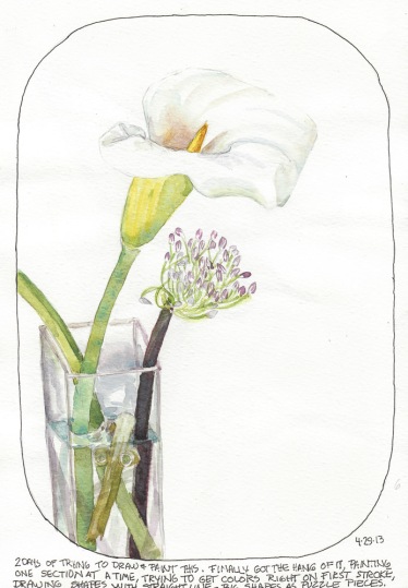 Lily sketch #6, watercolor, 8x10"