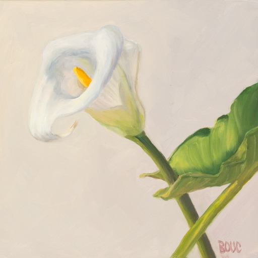 "Lily White on White," oil on Gessobord panel, 8x8"