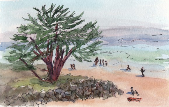 Santa Cruz Beach from Bluff, in & watercolor, 5x7"