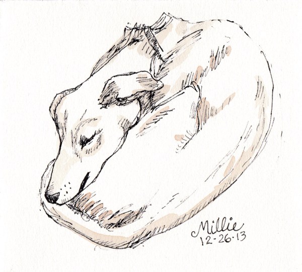 My new dog Millie, ink and watercolor, 5x5 in