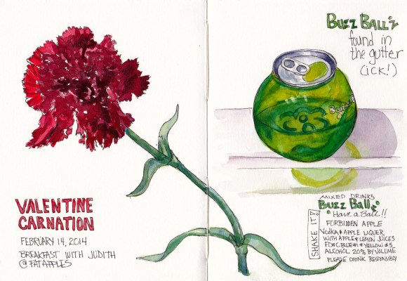 Valentine Carnation and BuzzBallz, ink and watercolor 7.5 by 11 in spread in sketchbook