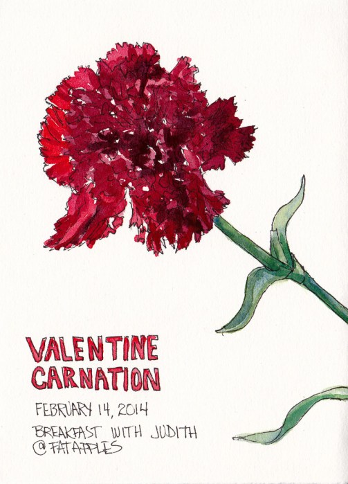 Valentine Carnation, ink and watercolor sketch, 7.5 x 5.5 in