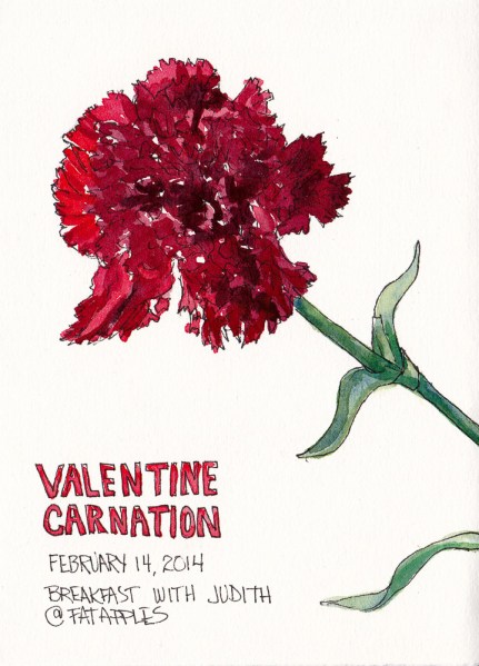 Valentine Carnation, ink and watercolor sketch, 7.5 x 5.5 in