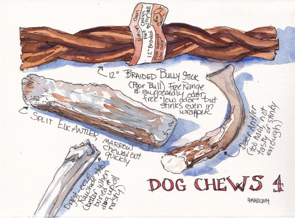 Dog Chews 4, ink and watercolor, 5x7 in
