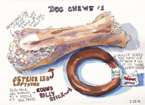 Dog Chews 1, ink and watercolor, 5x7 in