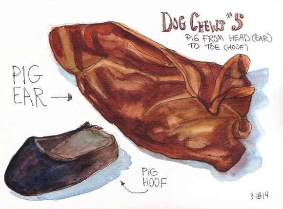 Dog Chews # 5, ink and watercolor sketch, 5x7 in