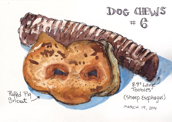 Puffed Pig Snout and a Toozle, ink & watercolor 5x7 in