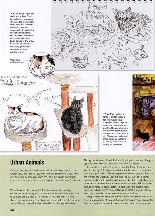 Urban Animals: My cat sketches