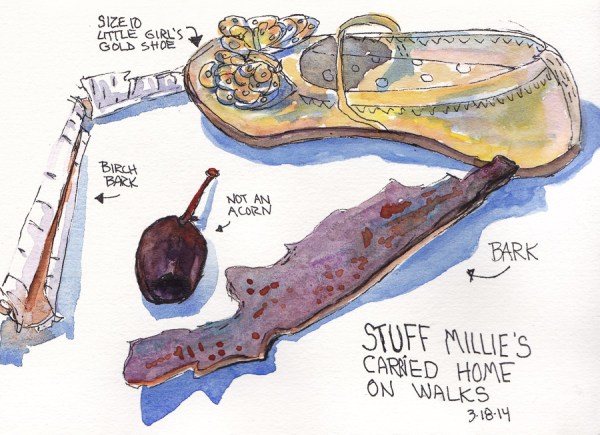 Stuff Millie Carried Home From Walks, ink and watercolor 5x7.5 in